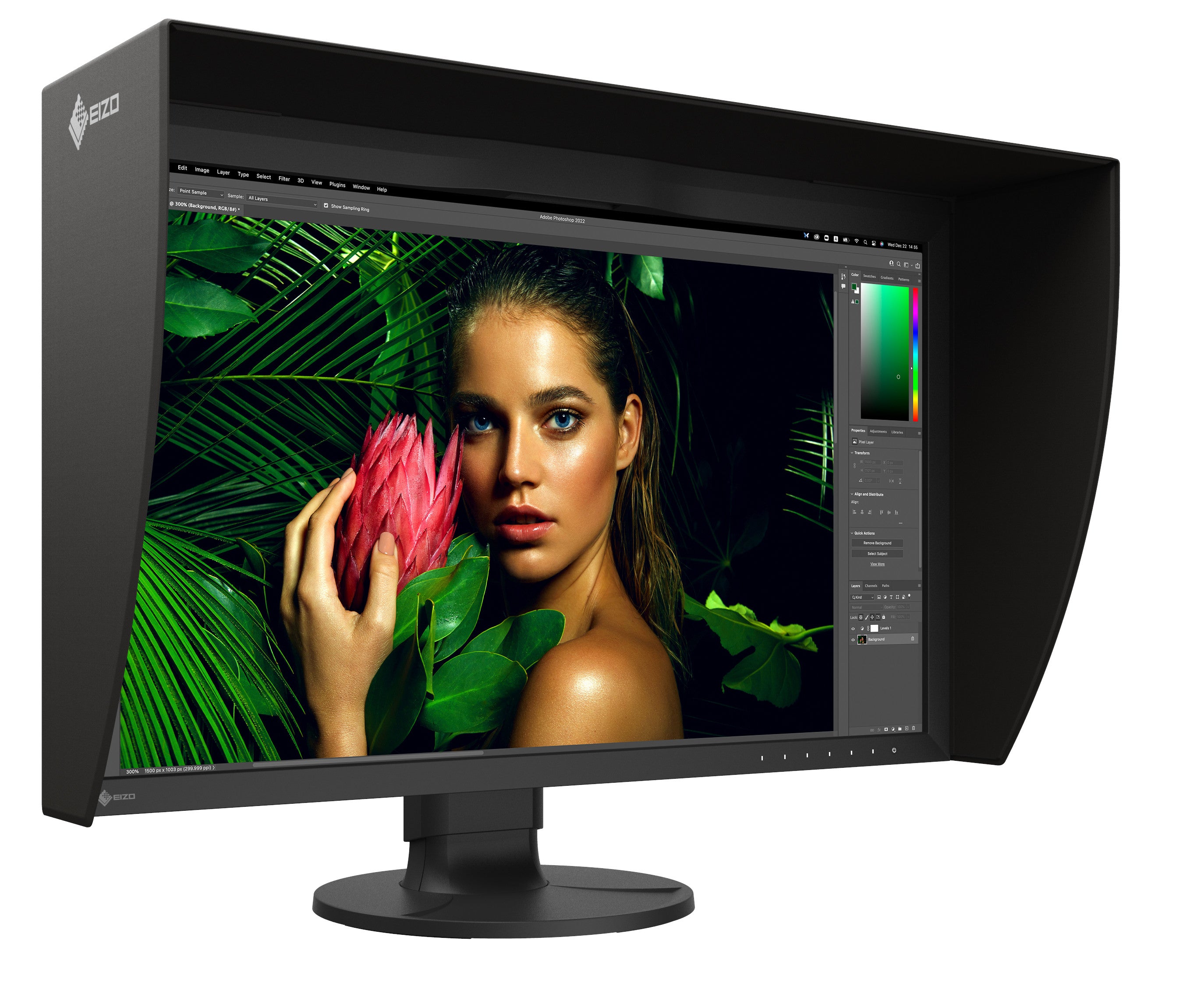EIZO ColorEdge CG2700S moniteur 27" calibration photo vidéo