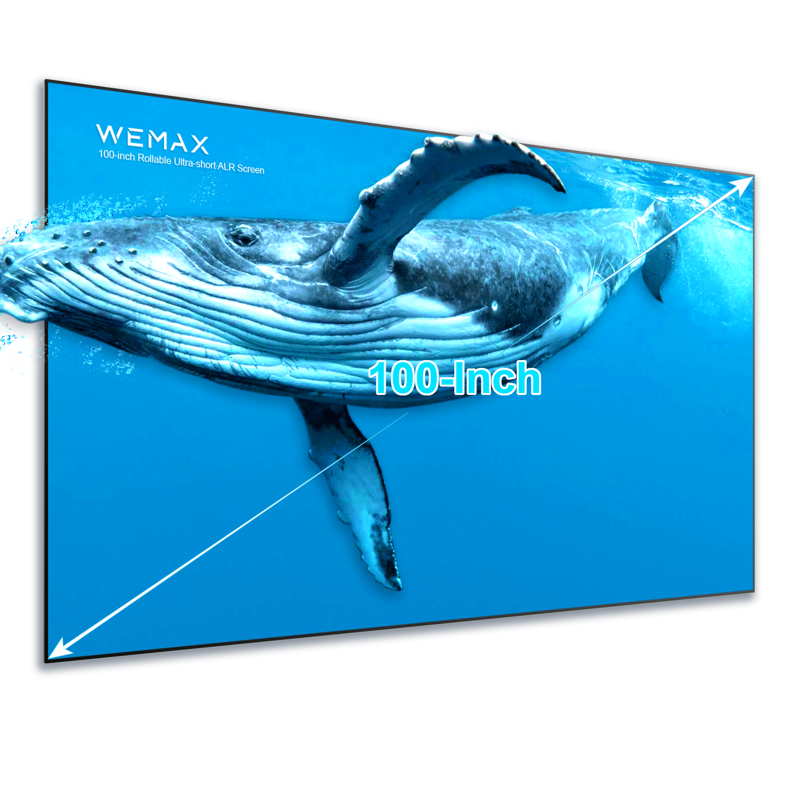 Wemax Projector Screen PSA01 écran projection 100" ALR cadre