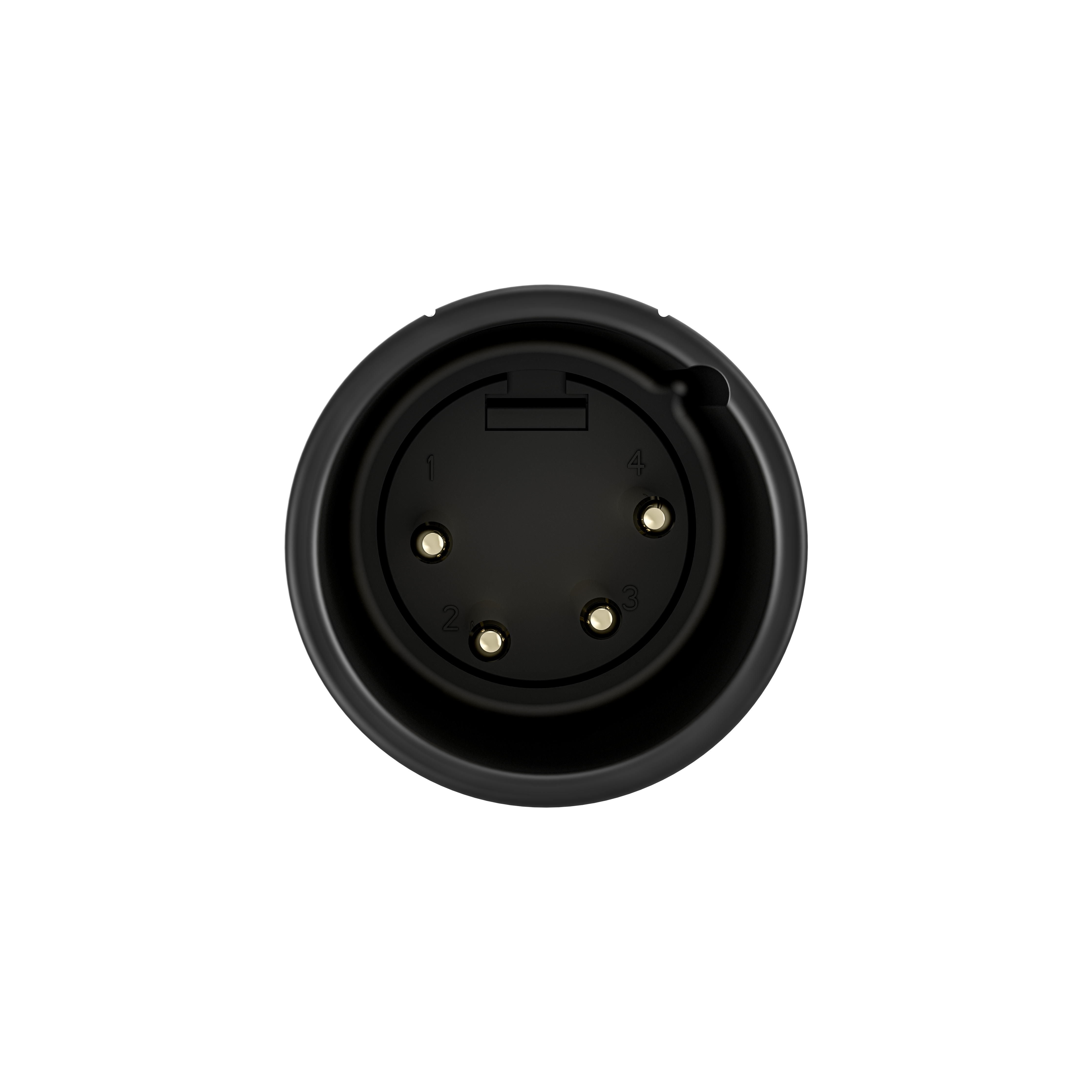 Wooden Camera 4-Pin XLR to Power Connector câble ETERNA 55