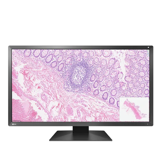 EIZO Pathology PX3150 moniteur 30,5" DCI 4K 8MP sRGB