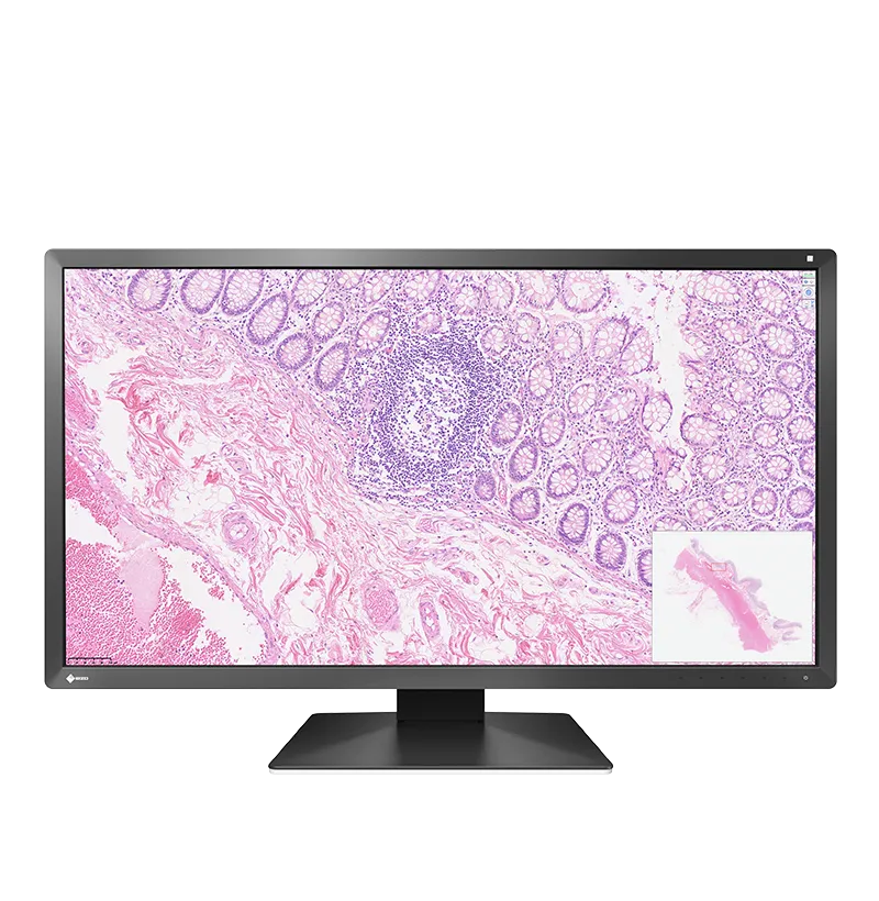 EIZO Pathology PX3150 moniteur 30,5" DCI 4K 8MP sRGB