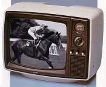Amstrad TV & Video VRX101 téléviseur portable 12 pouces