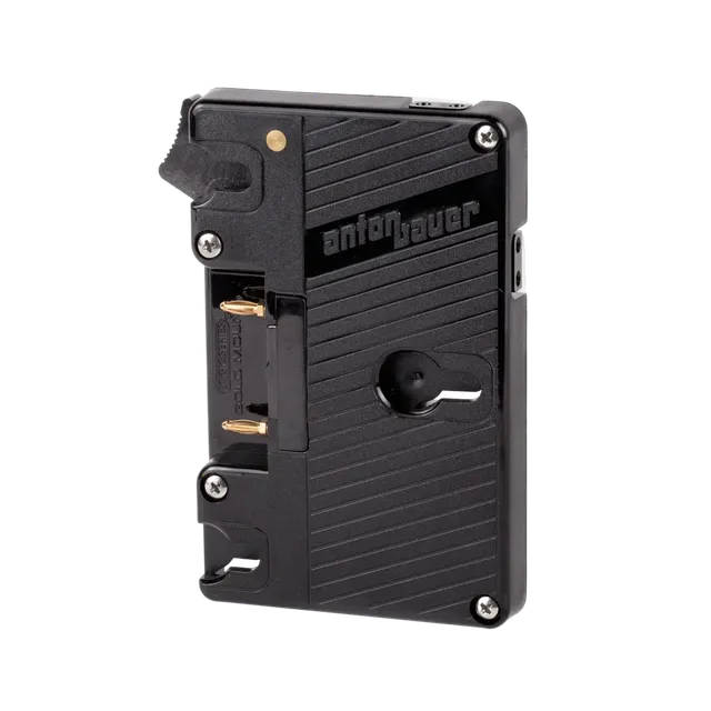 Wooden Camera WC Gold Mount Dual D-Tap plaque batterie 12V