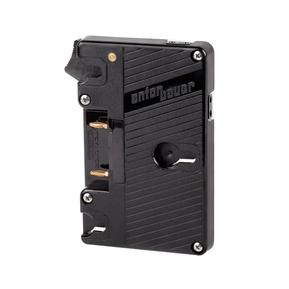 Wooden Camera WC Gold Mount Dual D-Tap plaque batterie 12V
