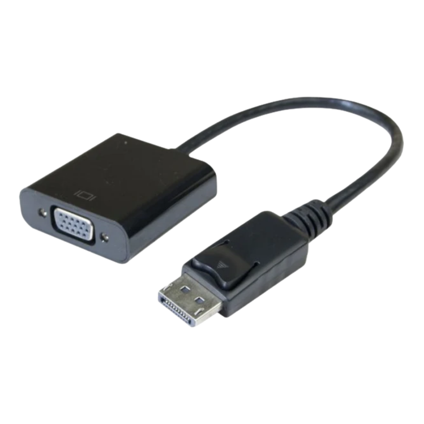 EIZO FlexScan convertisseur DisplayPort vers VGA 15cm Full HD