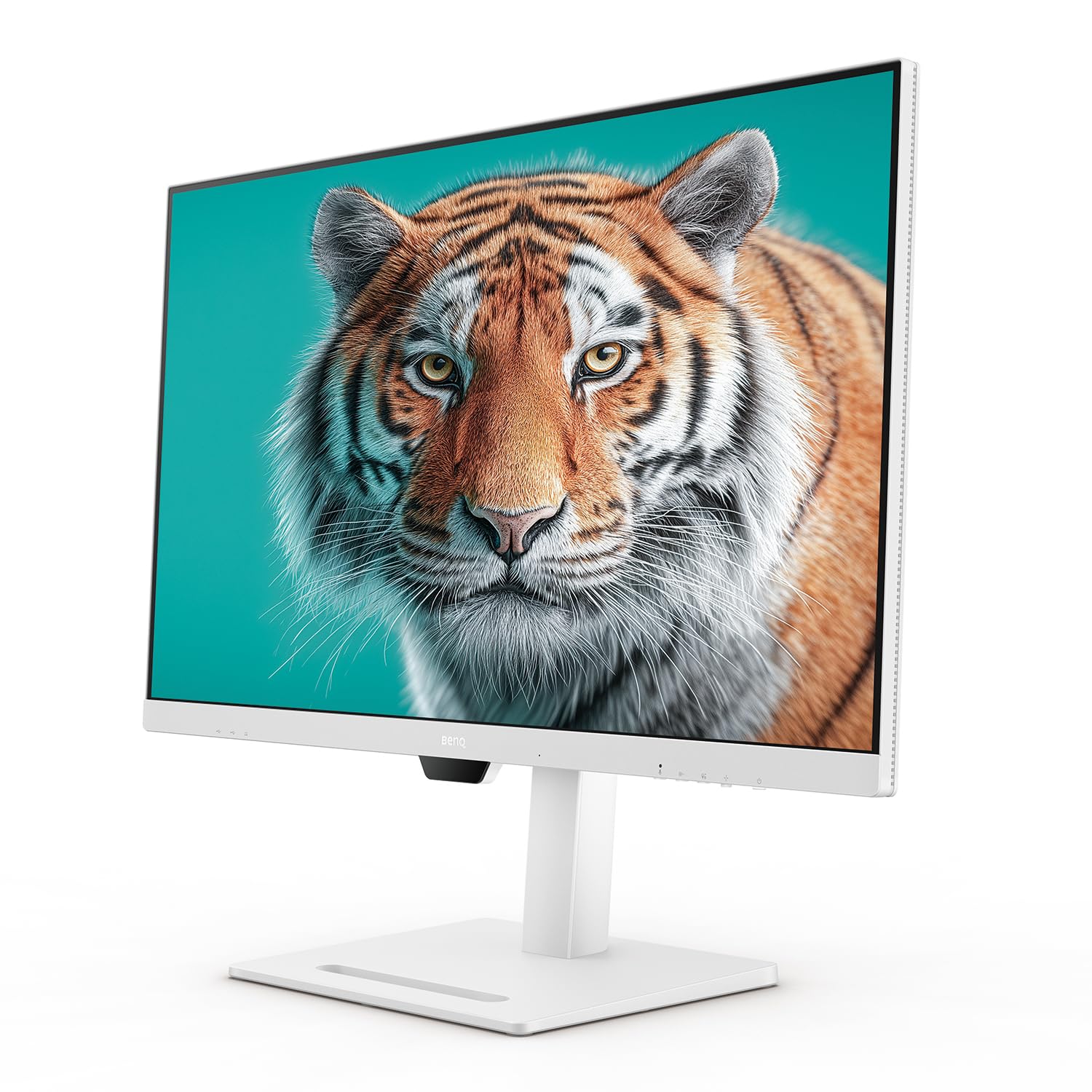 BenQ GW3290QT Moniteur 32 Pouces QHD USB-C 65W