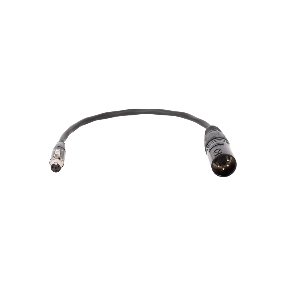 Wooden Camera Cables Mini 4pin XLR câble alimentation 20 cm D-Box