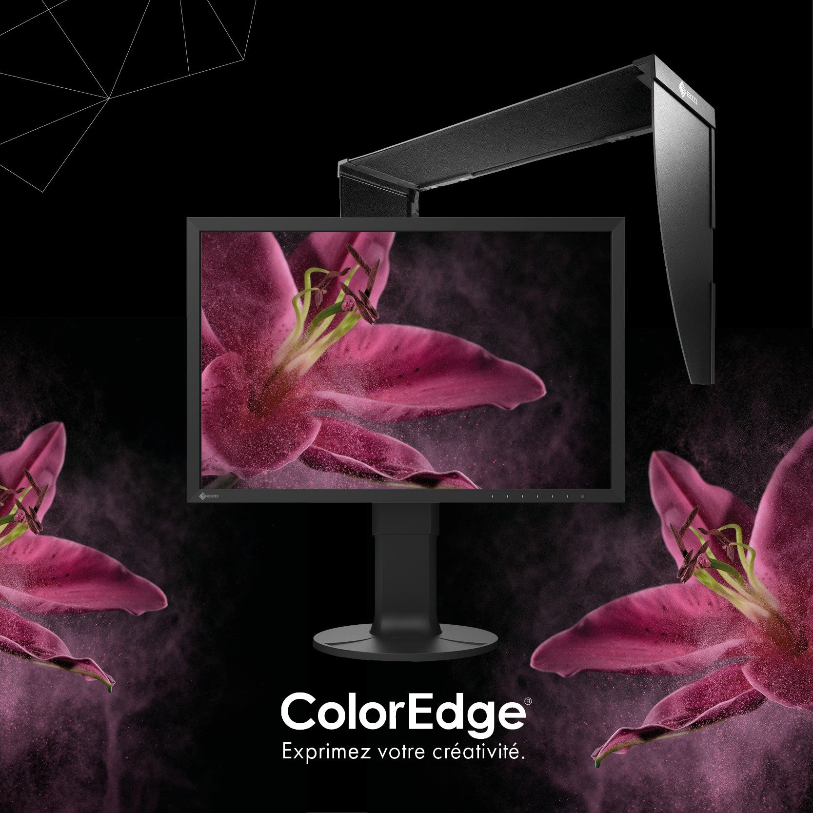 EIZO ColorEdge CS2400S moniteur 24 pouces Adobe RGB + casquette