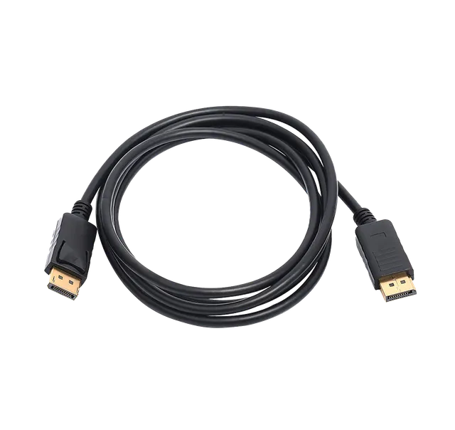EIZO FlexScan PP200 câble DisplayPort 2 m noir