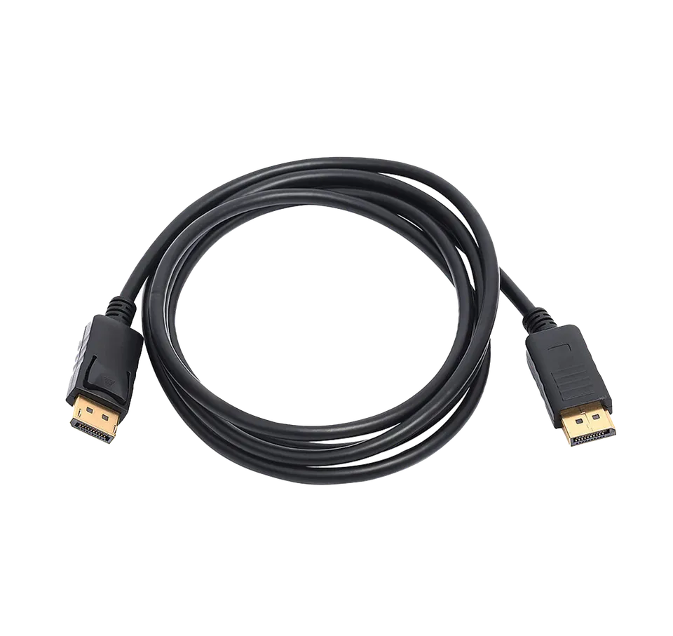 EIZO FlexScan PP200 câble DisplayPort 2 m noir