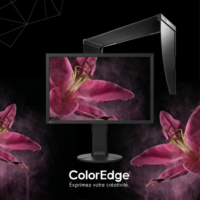 EIZO ColorEdge CS2400S moniteur 24 pouces Adobe RGB + casquette