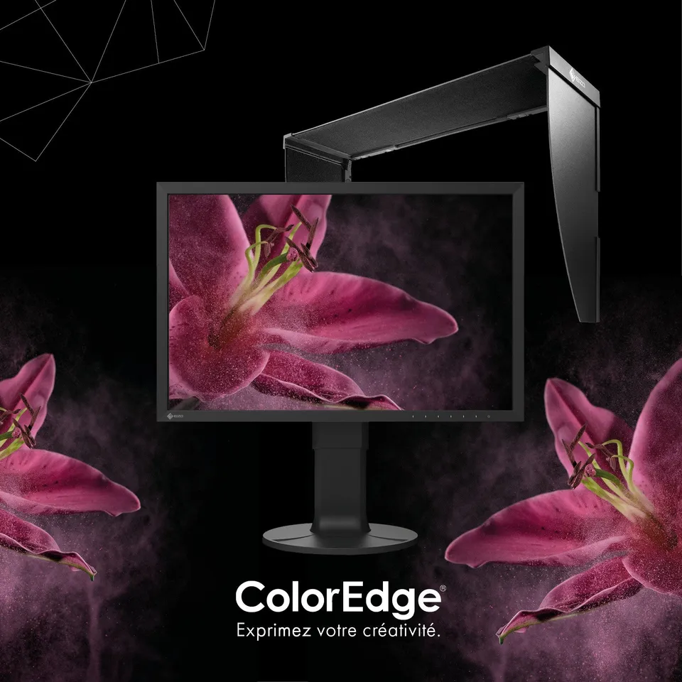 EIZO ColorEdge CS2400S moniteur 24 pouces Adobe RGB + casquette