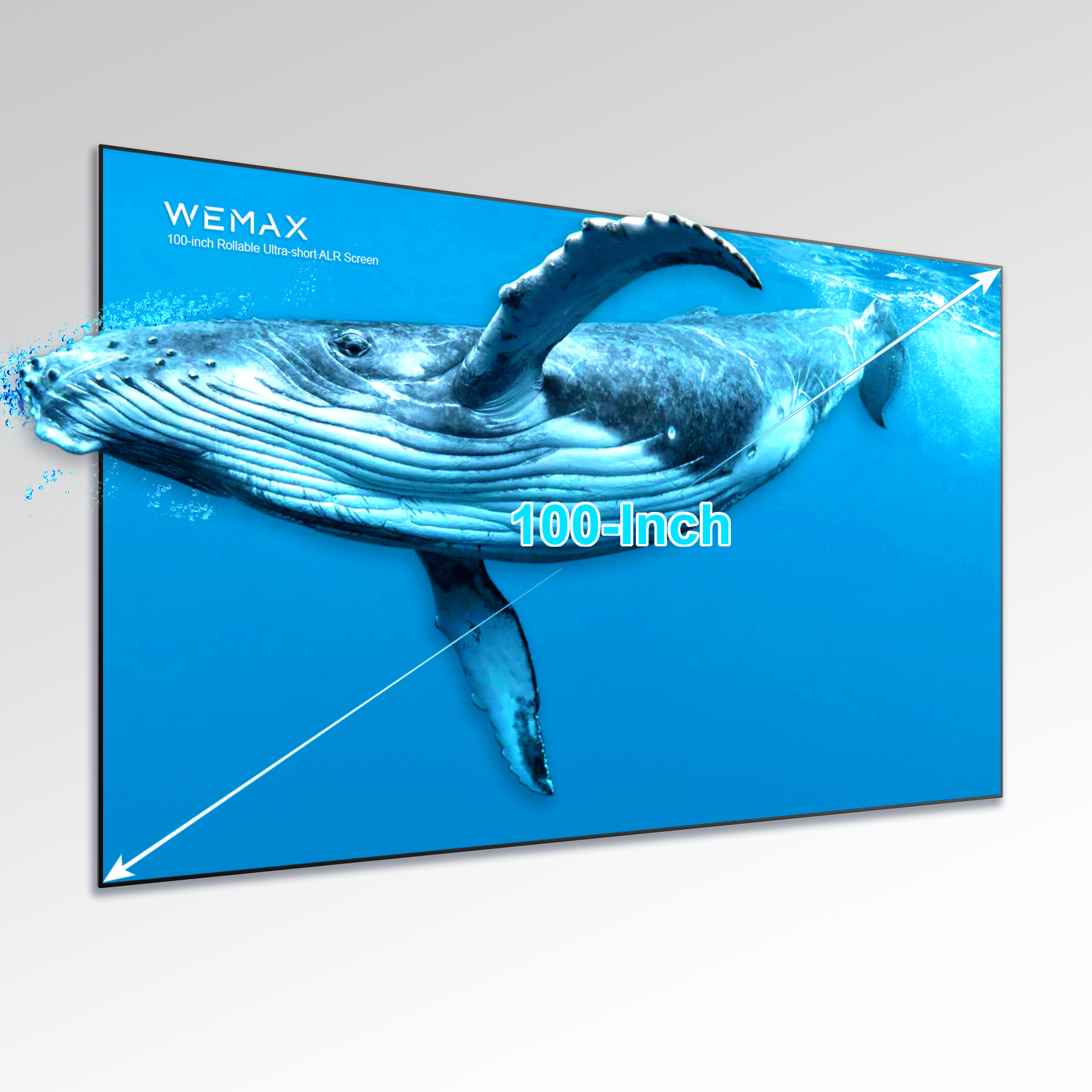 Wemax écran projection 100" ALR UST cadre fixe 16:9