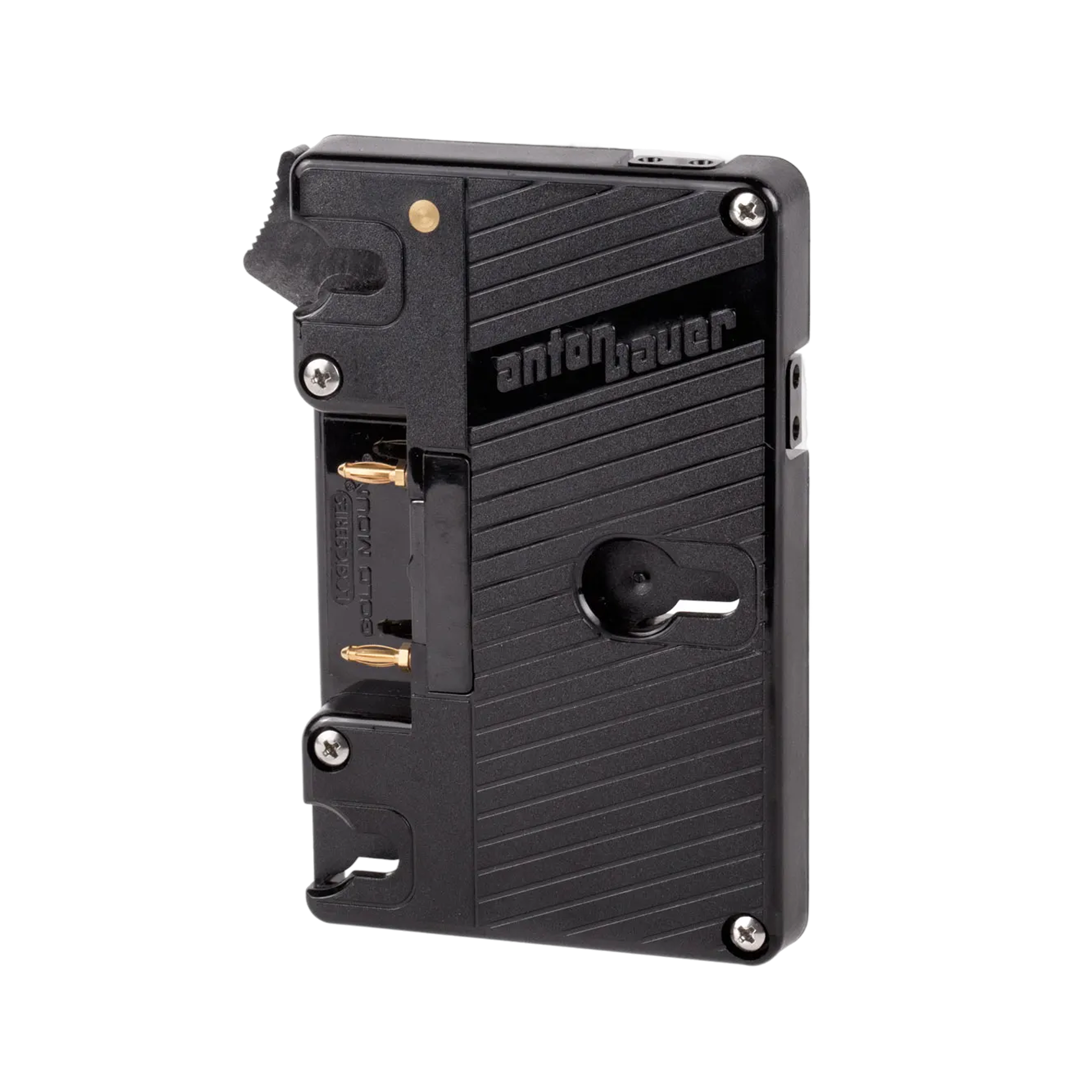 Wooden Camera WC Gold Mount Dual D-Tap plaque batterie 12V