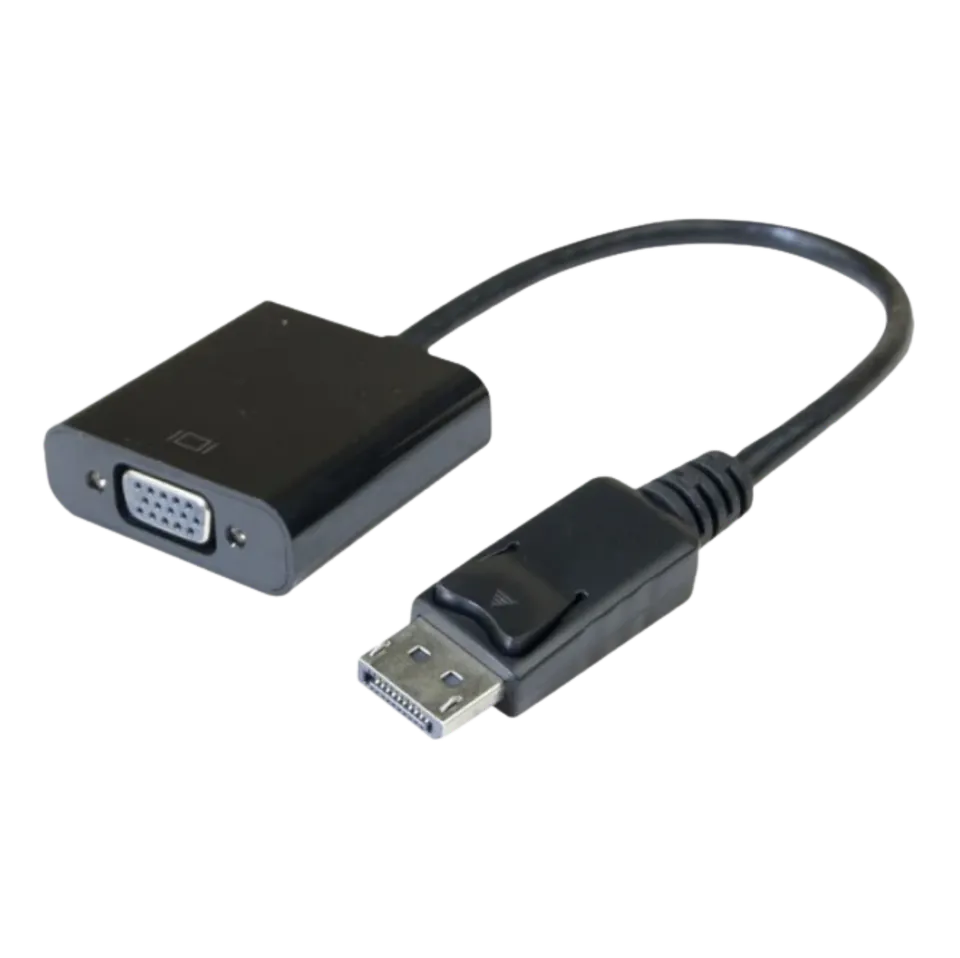 EIZO FlexScan convertisseur DisplayPort vers VGA 15cm Full HD