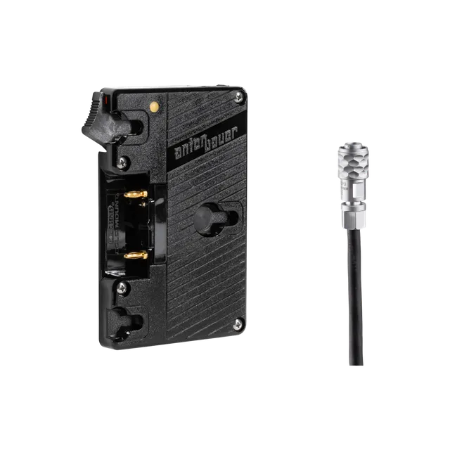 Wooden Camera Power WC Gold Mount platine BMPCC 4K / 6K