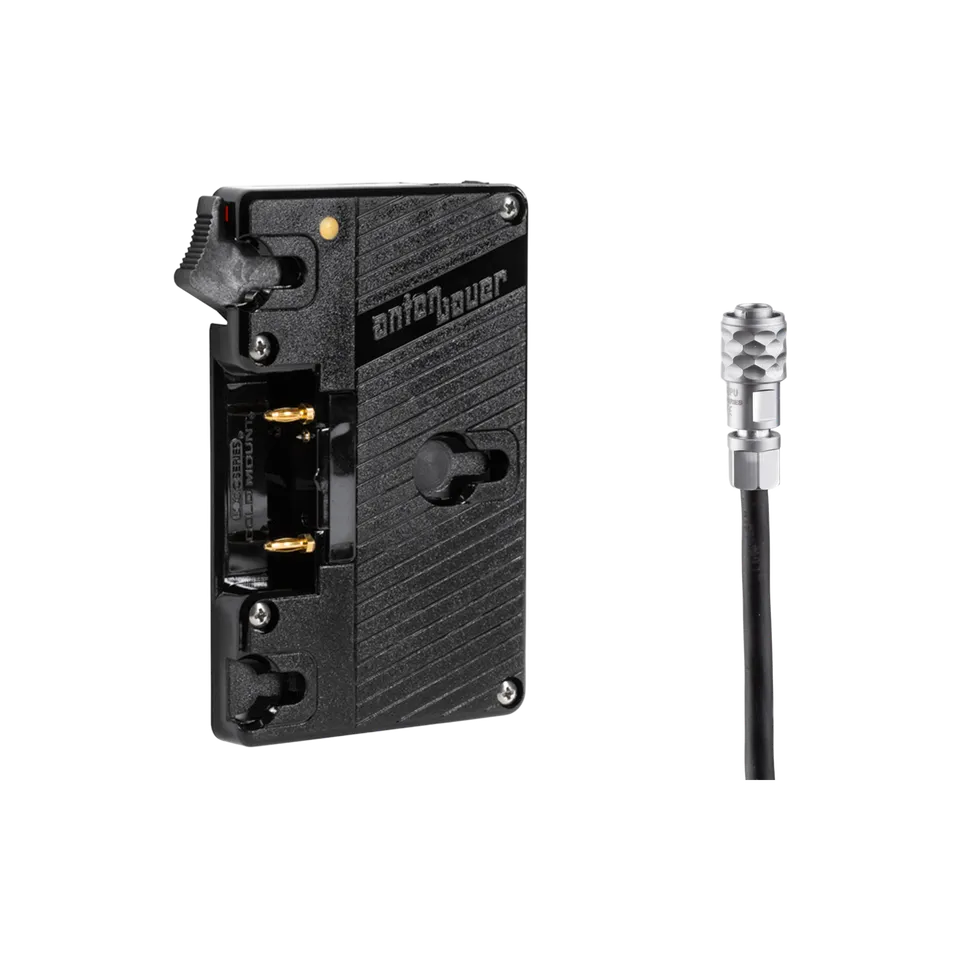 Wooden Camera Power WC Gold Mount platine BMPCC 4K / 6K