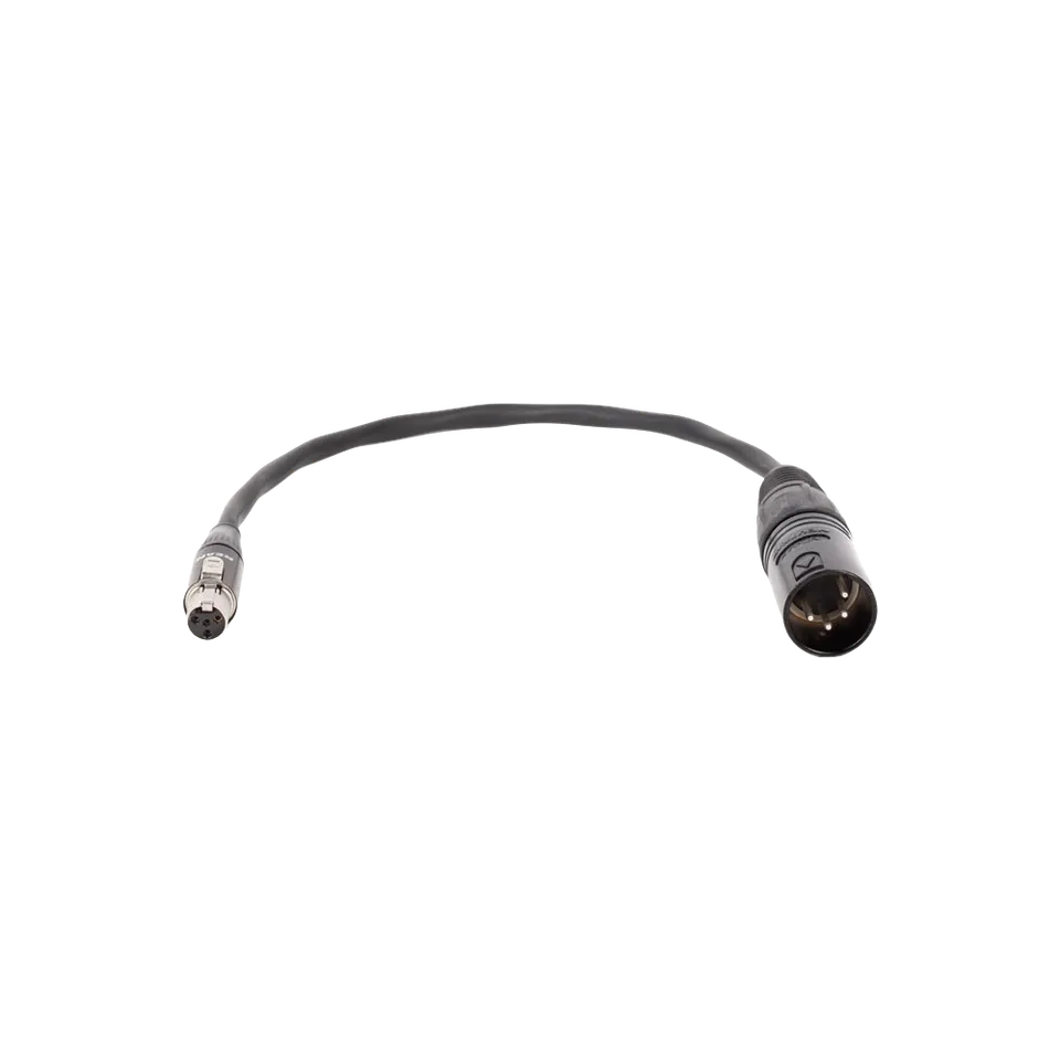 Wooden Camera Cables Mini 4pin XLR câble alimentation 20 cm D-Box