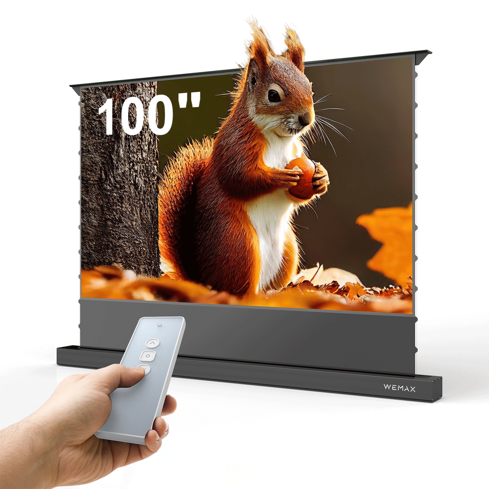 Wemax Projector Screen écran de projection 120" UST ALR motorisé