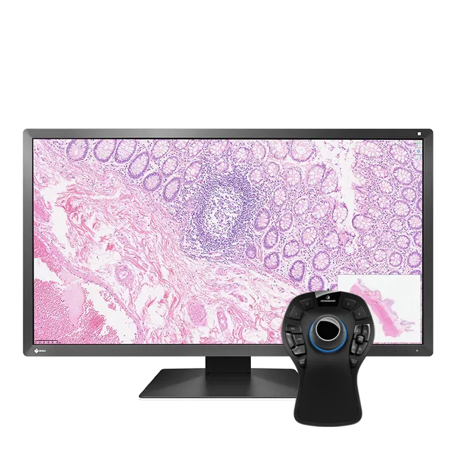 Pack EIZO PX3150 30,5" + SpaceMouse Pro Pathologie