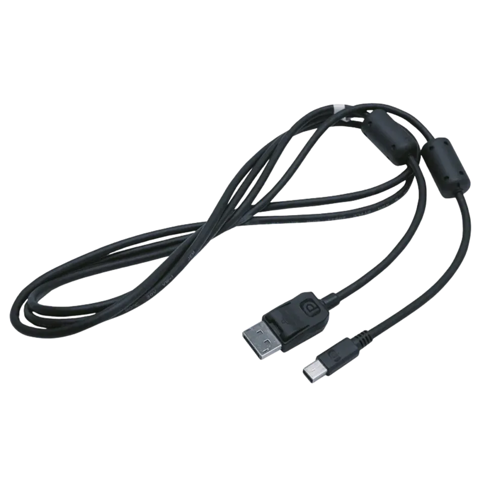 EIZO FlexScan câble DisplayPort - mini DisplayPort vidéo