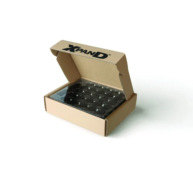 Xpand X101 050-BATTERY piles lunettes 3D 100 pcs