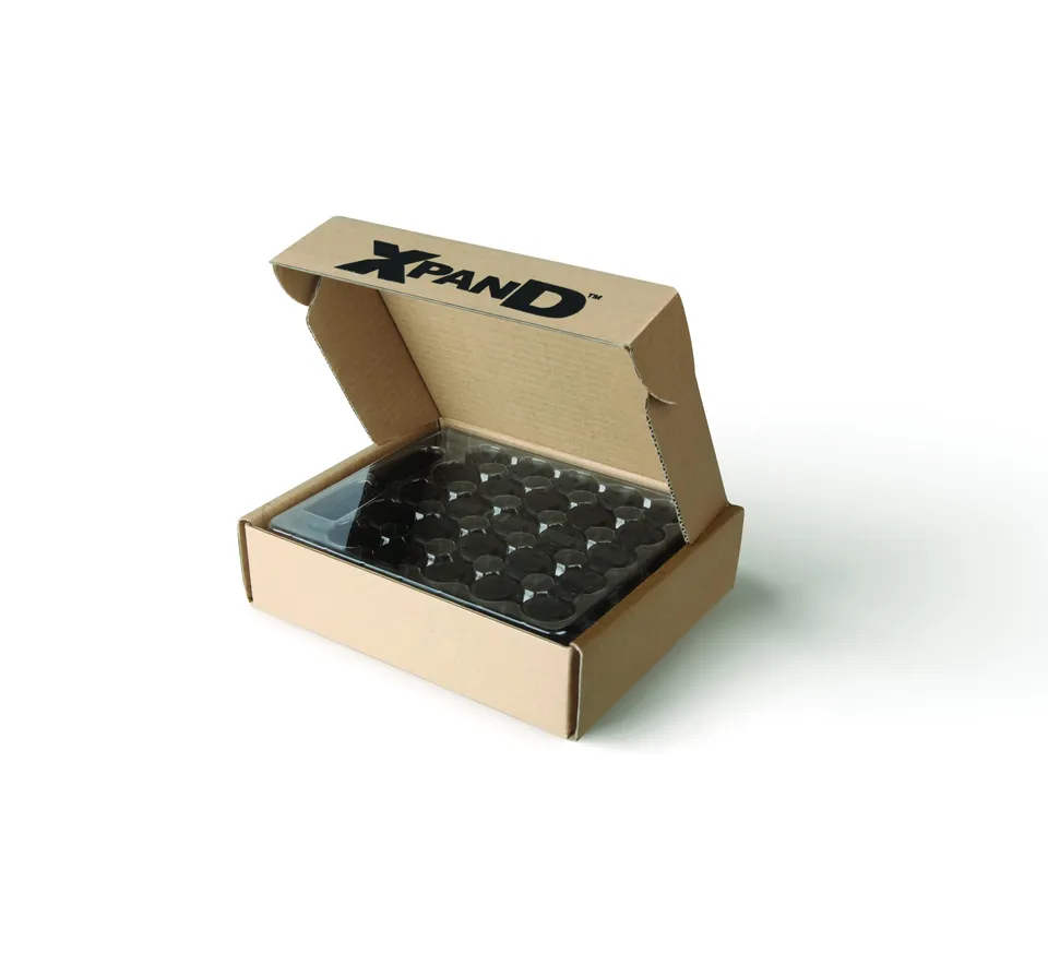 Xpand X101 050-BATTERY piles lunettes 3D 100 pcs