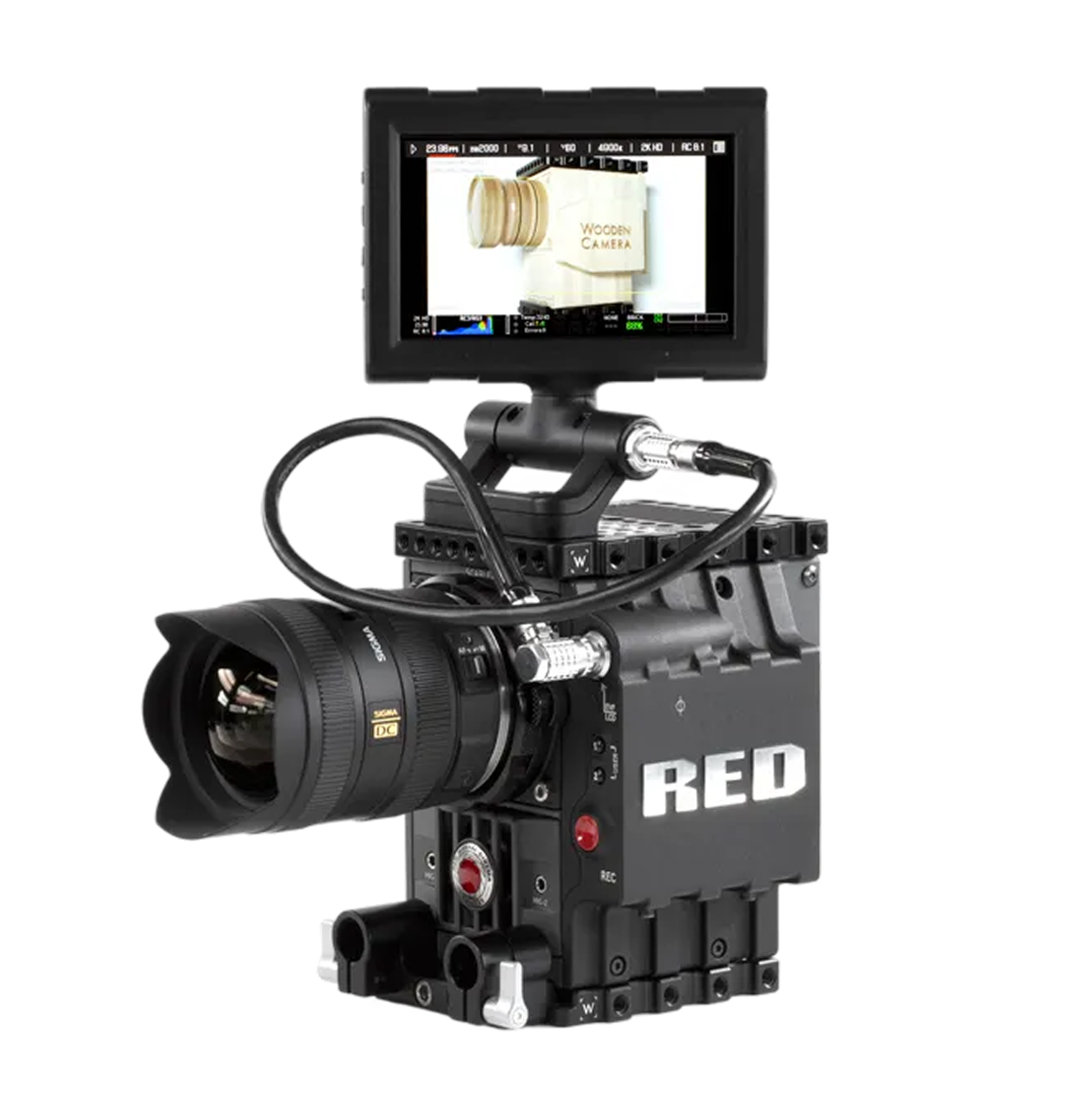 Wooden Camera Cables LCD/EVF RED R/S 18" câble vidéo