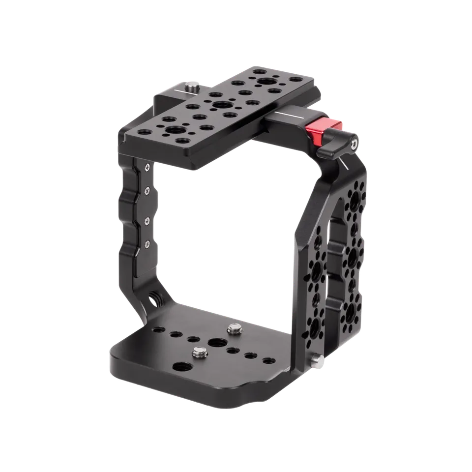 Wooden Camera BGH1 BS1H cage caméra Panasonic ARCA