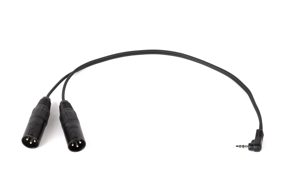 Wooden Camera Audio Câble Adaptateur Y XLR Micro VX 41cm Stéréo