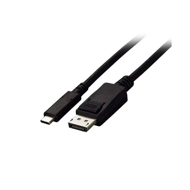 EIZO FlexScan CP200-BK câble USB-C DisplayPort 2 m noir