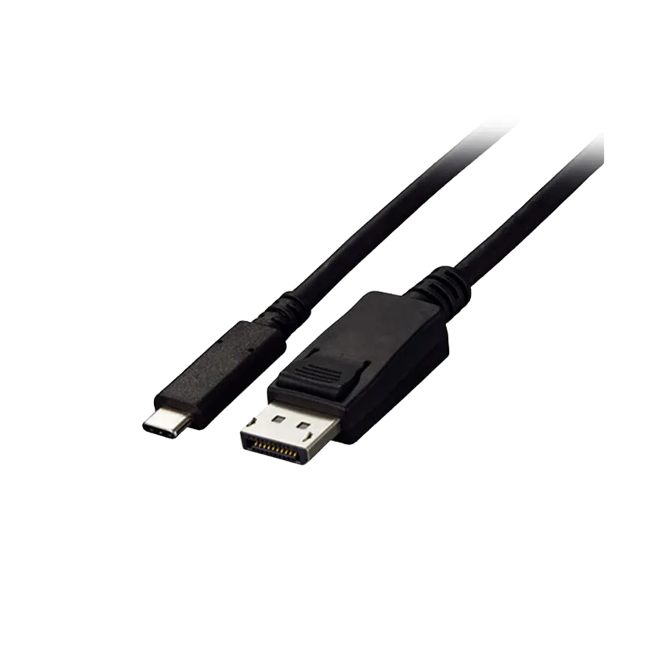 EIZO FlexScan CP200-BK câble USB-C DisplayPort 2 m noir
