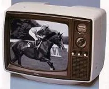 Amstrad TV & Video VRX101 téléviseur portable 12 pouces